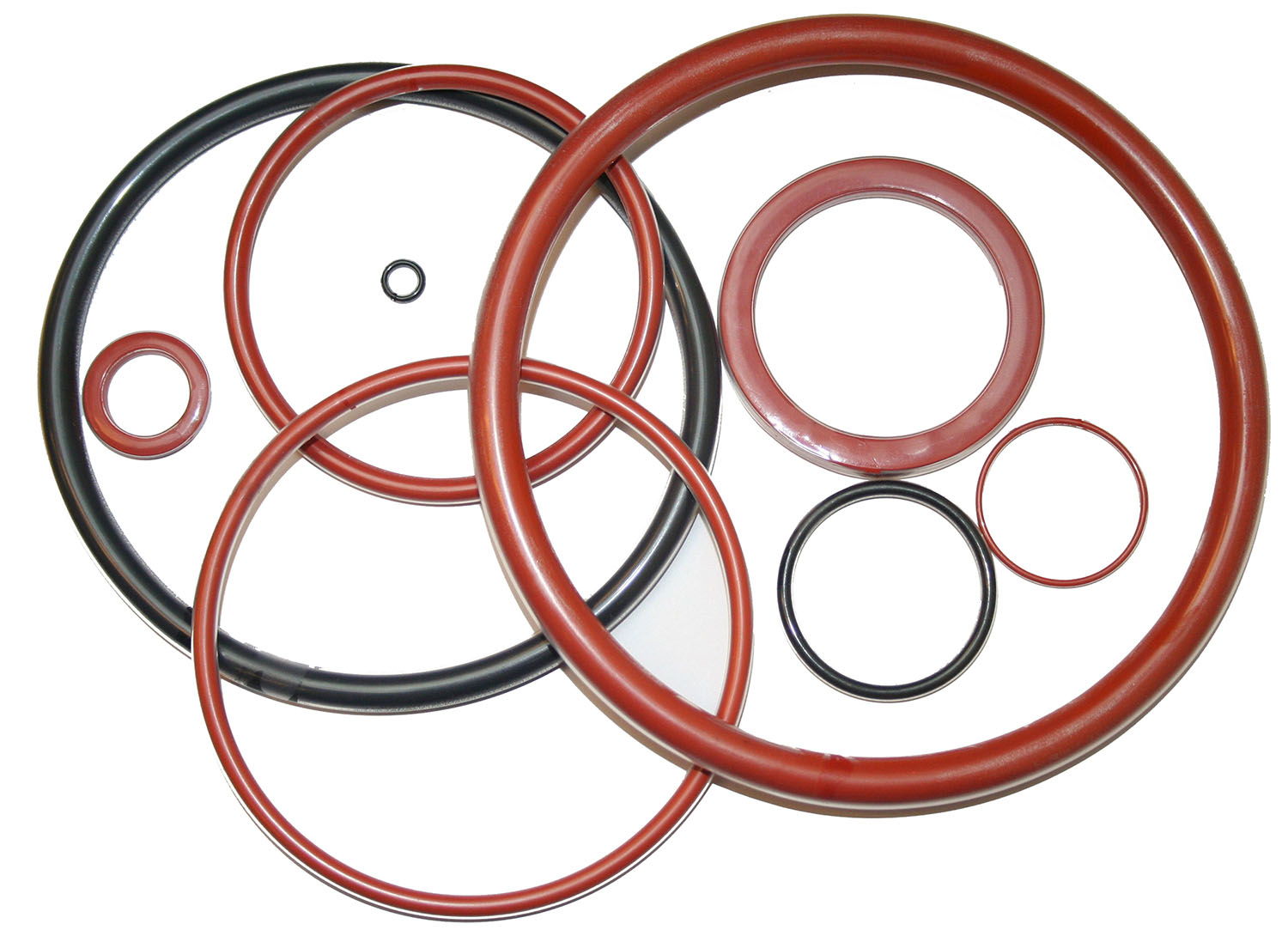 Encapsulated O-Rings image